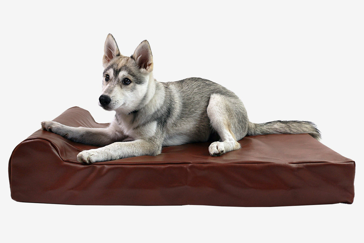 Seven-Inch Orthopedic Dog Bed product image 86