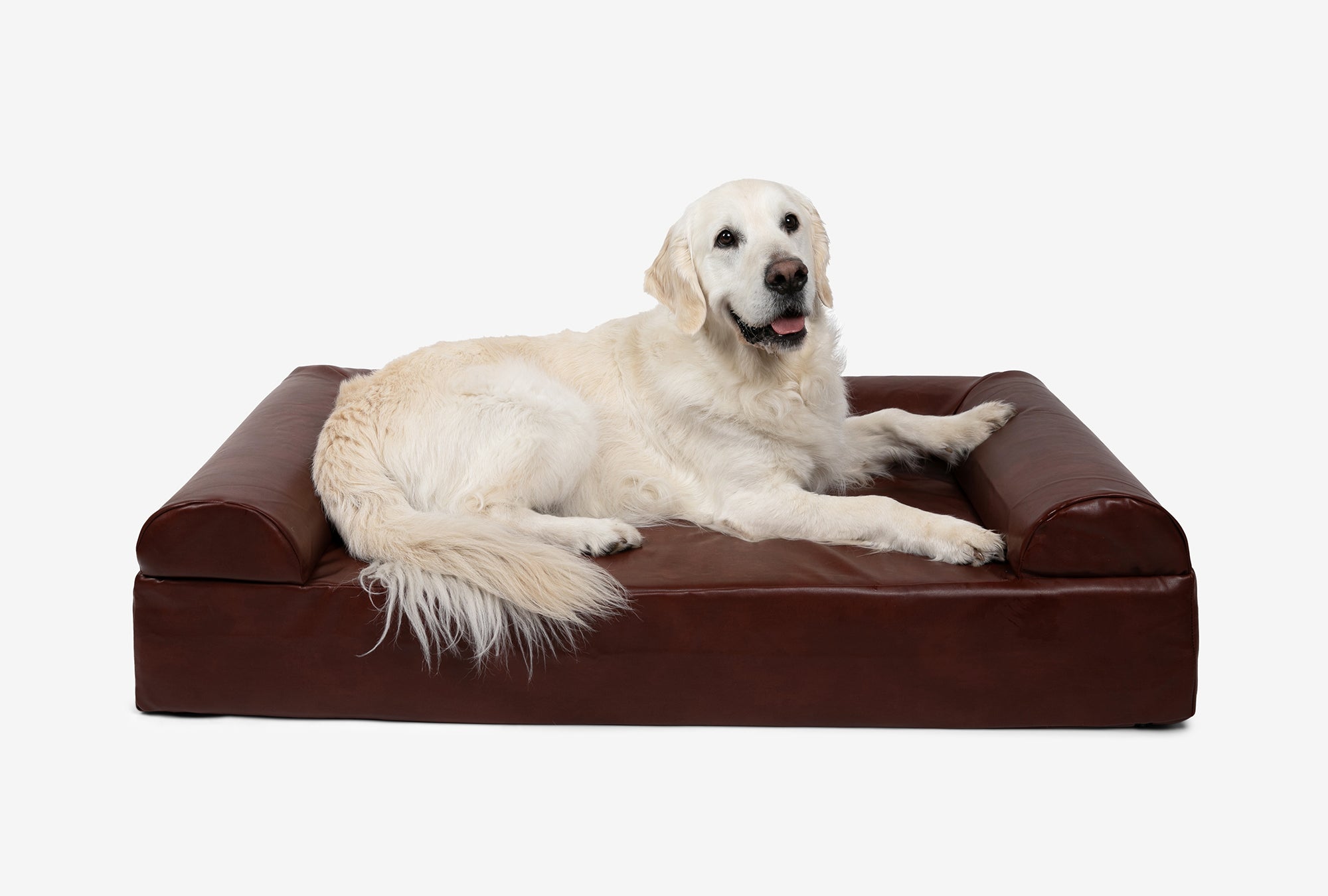 Seven-Inch Orthopedic Dog Bed product image 91