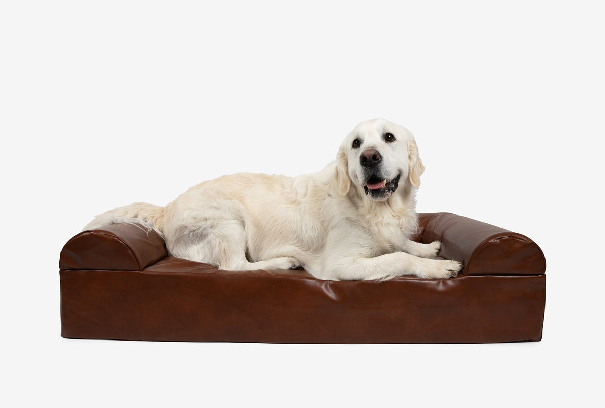Seven-Inch Orthopedic Dog Bed product image 92