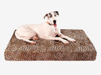 Seven-Inch Orthopedic Dog Bed product image 97