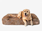 Seven-Inch Orthopedic Dog Bed product image 105