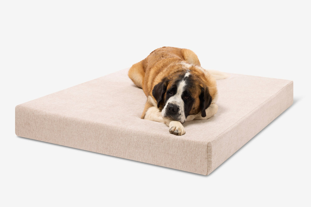 Seven-Inch Orthopedic Dog Bed product image 106