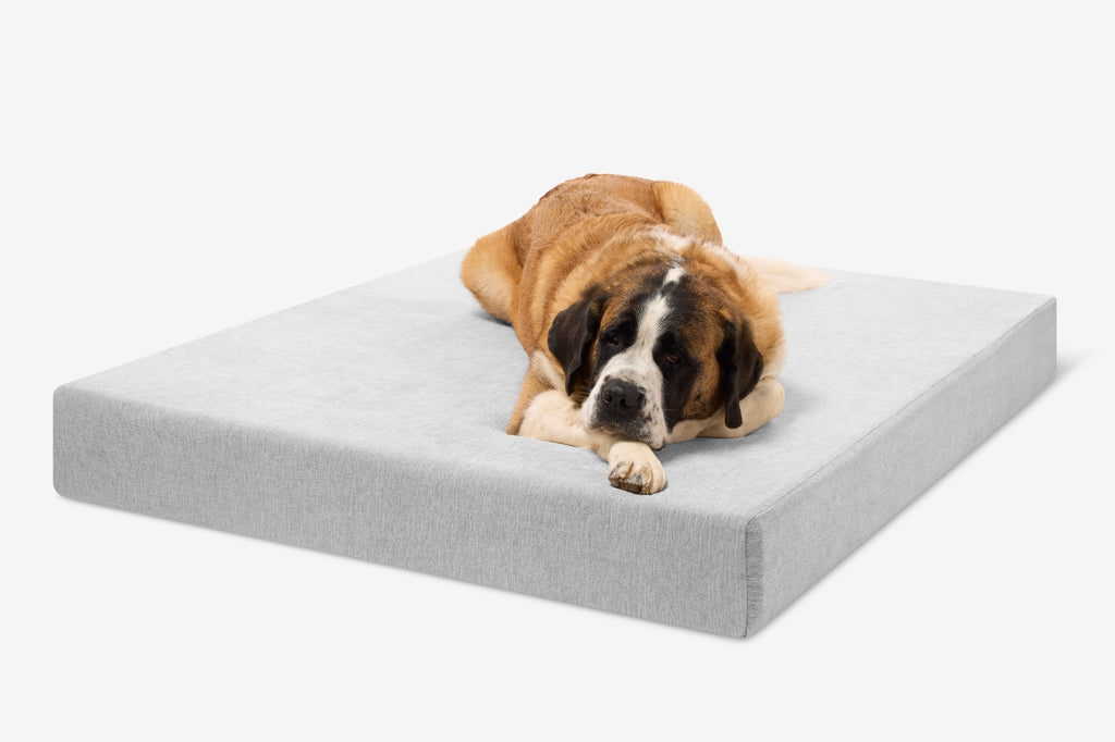 Seven-Inch Orthopedic Dog Bed product image 107