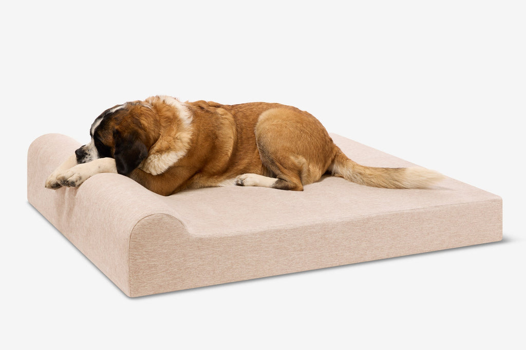 Seven-Inch Orthopedic Dog Bed product image 112
