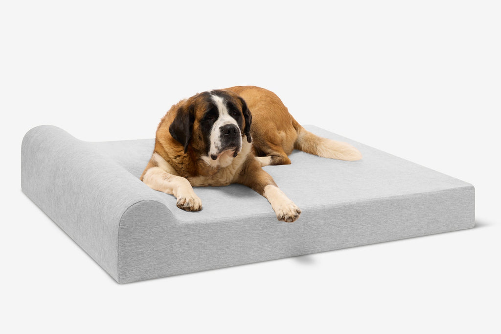 Seven-Inch Orthopedic Dog Bed product image 113