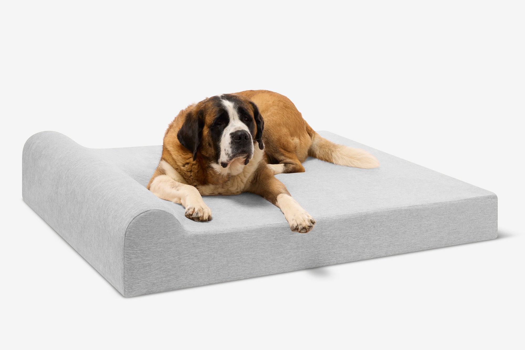 Seven-Inch Orthopedic Dog Bed product image 113