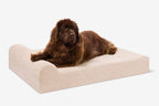 Seven-Inch Orthopedic Dog Bed product image 114