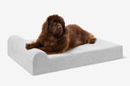 Seven-Inch Orthopedic Dog Bed product image 115