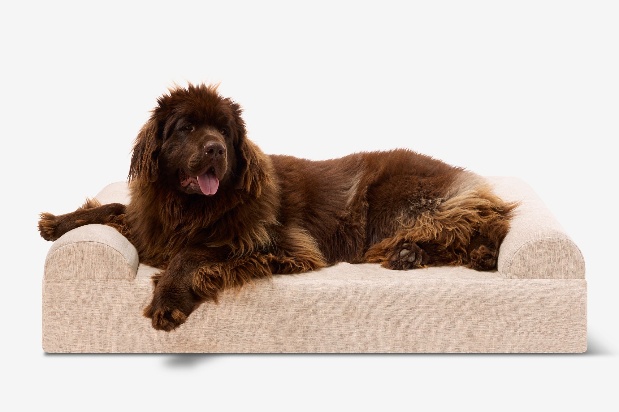 Seven-Inch Orthopedic Dog Bed product image 118