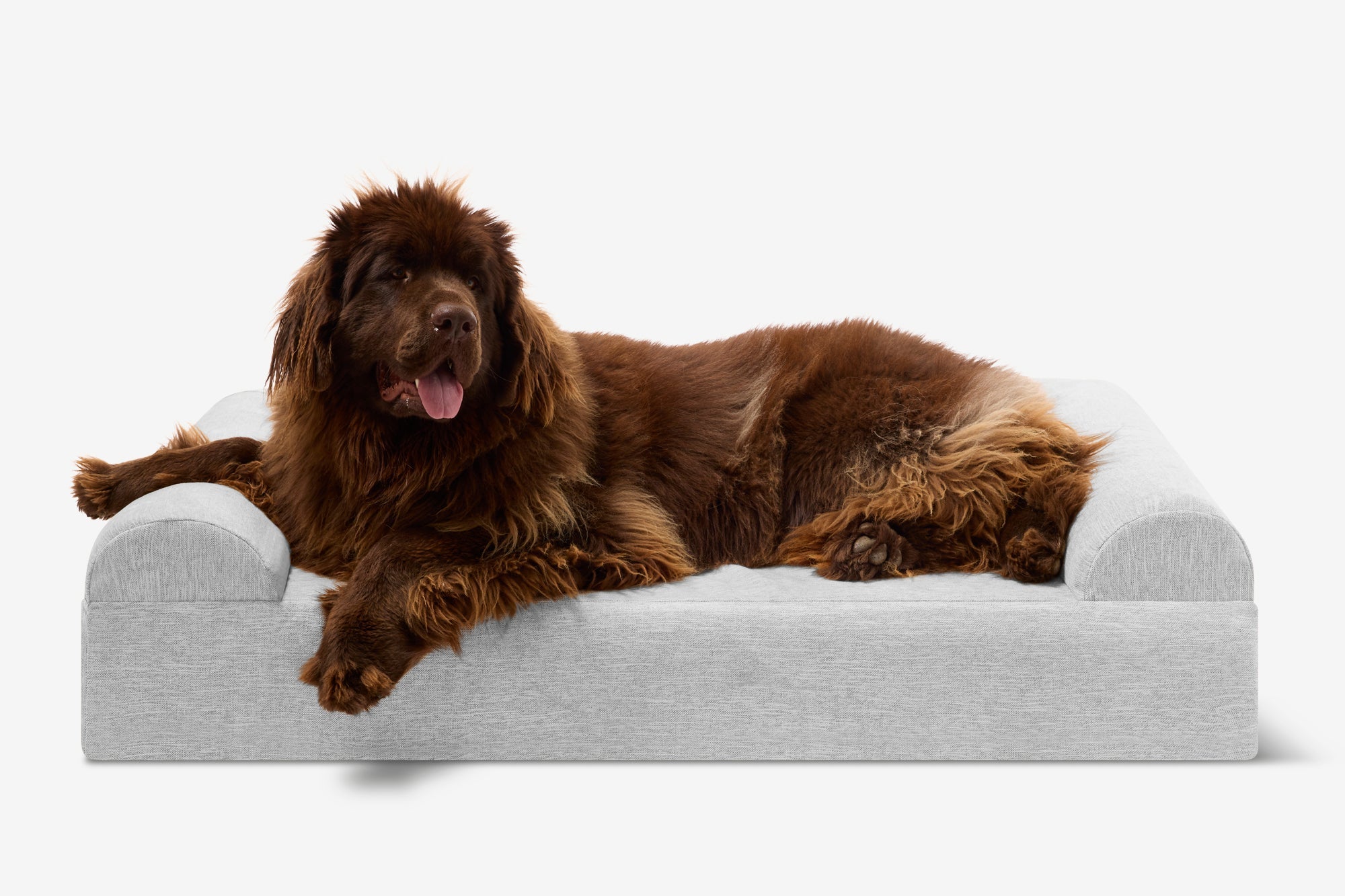 Seven-Inch Orthopedic Dog Bed product image 119