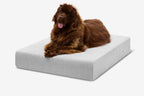 Seven-Inch Orthopedic Dog Bed product image 123