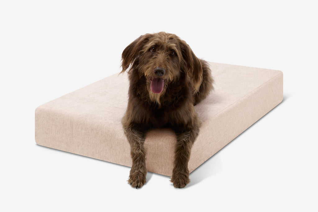Seven-Inch Orthopedic Dog Bed product image 124