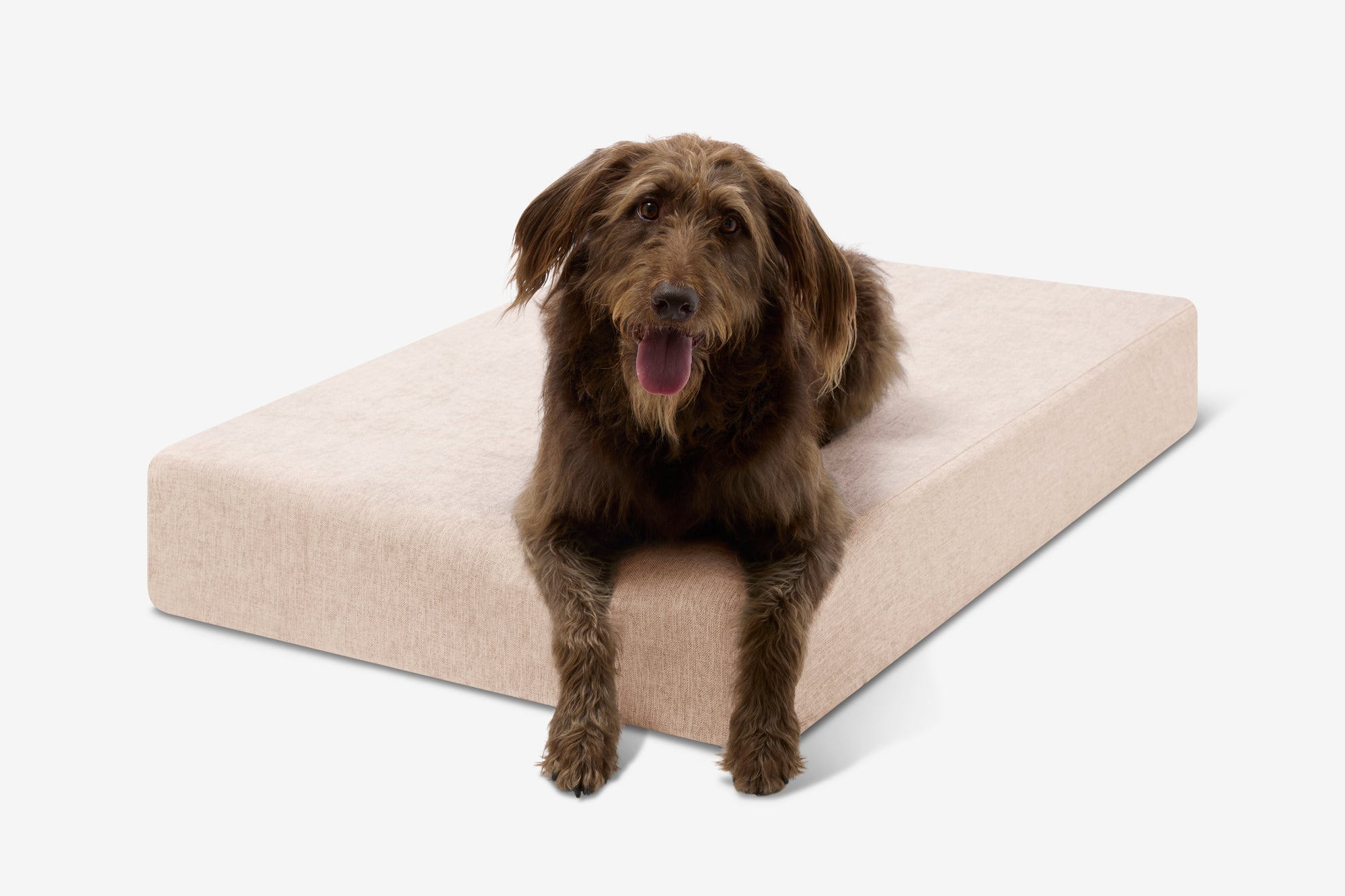 Seven-Inch Orthopedic Dog Bed product image 124
