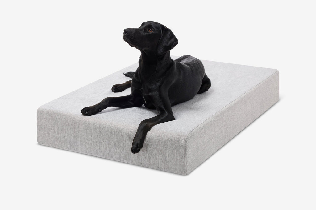 Seven-Inch Orthopedic Dog Bed product image 125