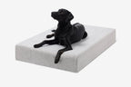 Seven-Inch Orthopedic Dog Bed product image 125