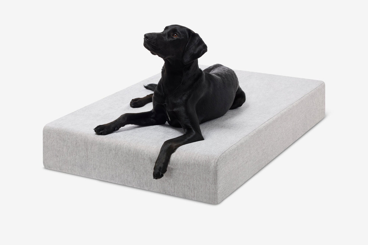 Seven-Inch Orthopedic Dog Bed product image 125