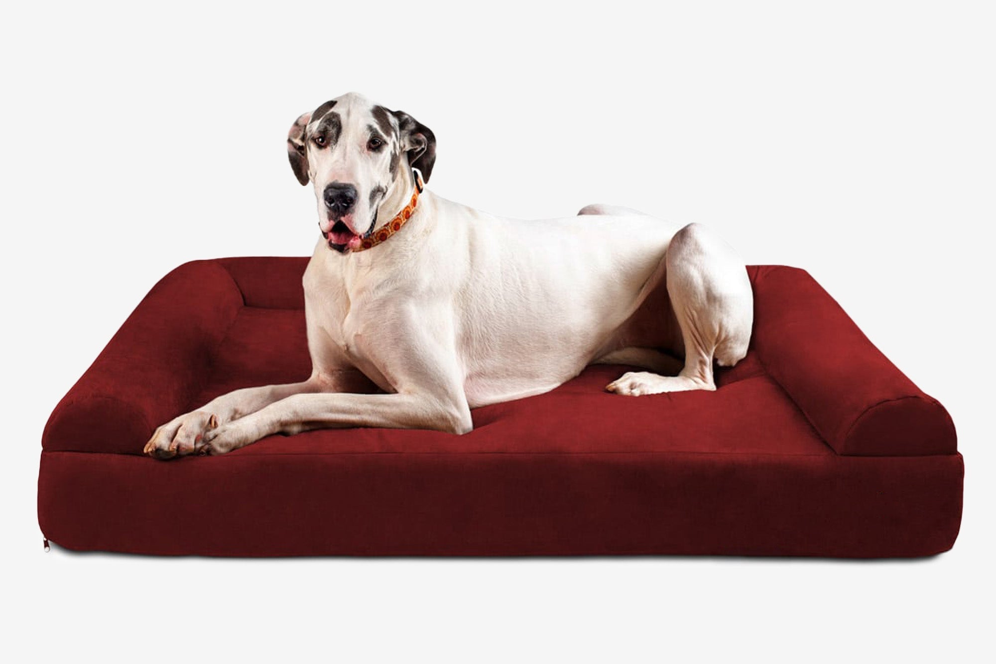 Seven-Inch Orthopedic Dog Bed product image 129