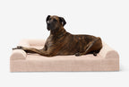Seven-Inch Orthopedic Dog Bed product image 133