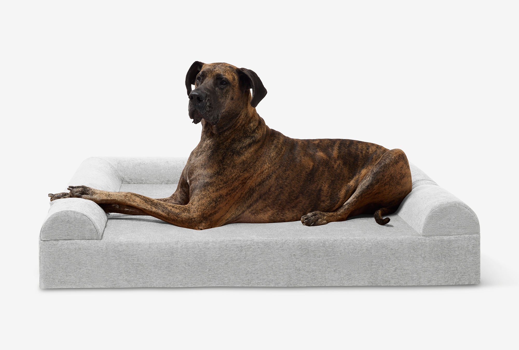 Seven-Inch Orthopedic Dog Bed product image 134
