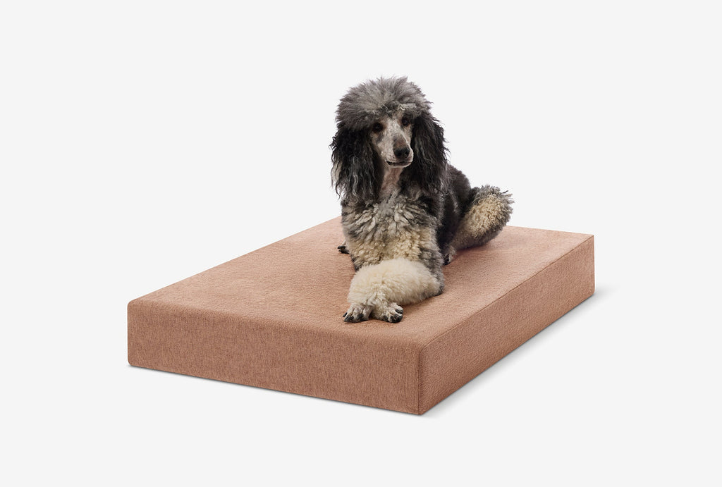 Seven-Inch Orthopedic Dog Bed product image 135