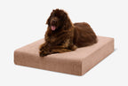 Seven-Inch Orthopedic Dog Bed product image 136