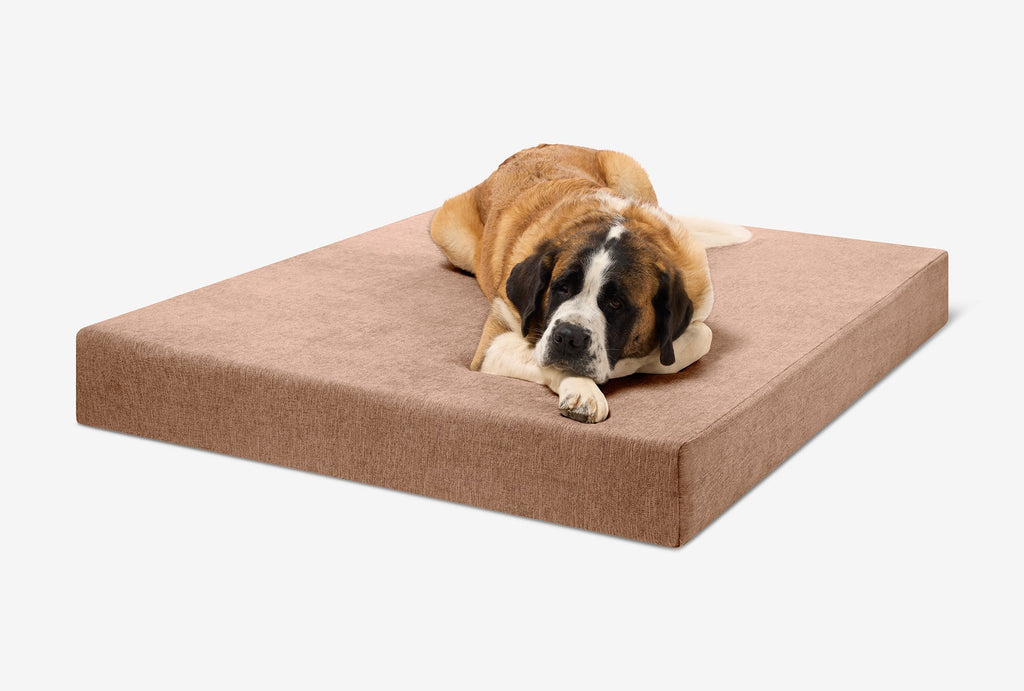 Seven-Inch Orthopedic Dog Bed product image 137