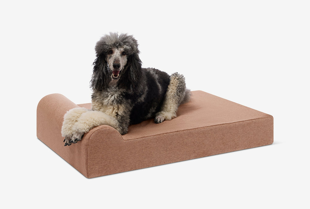 Seven-Inch Orthopedic Dog Bed product image 138