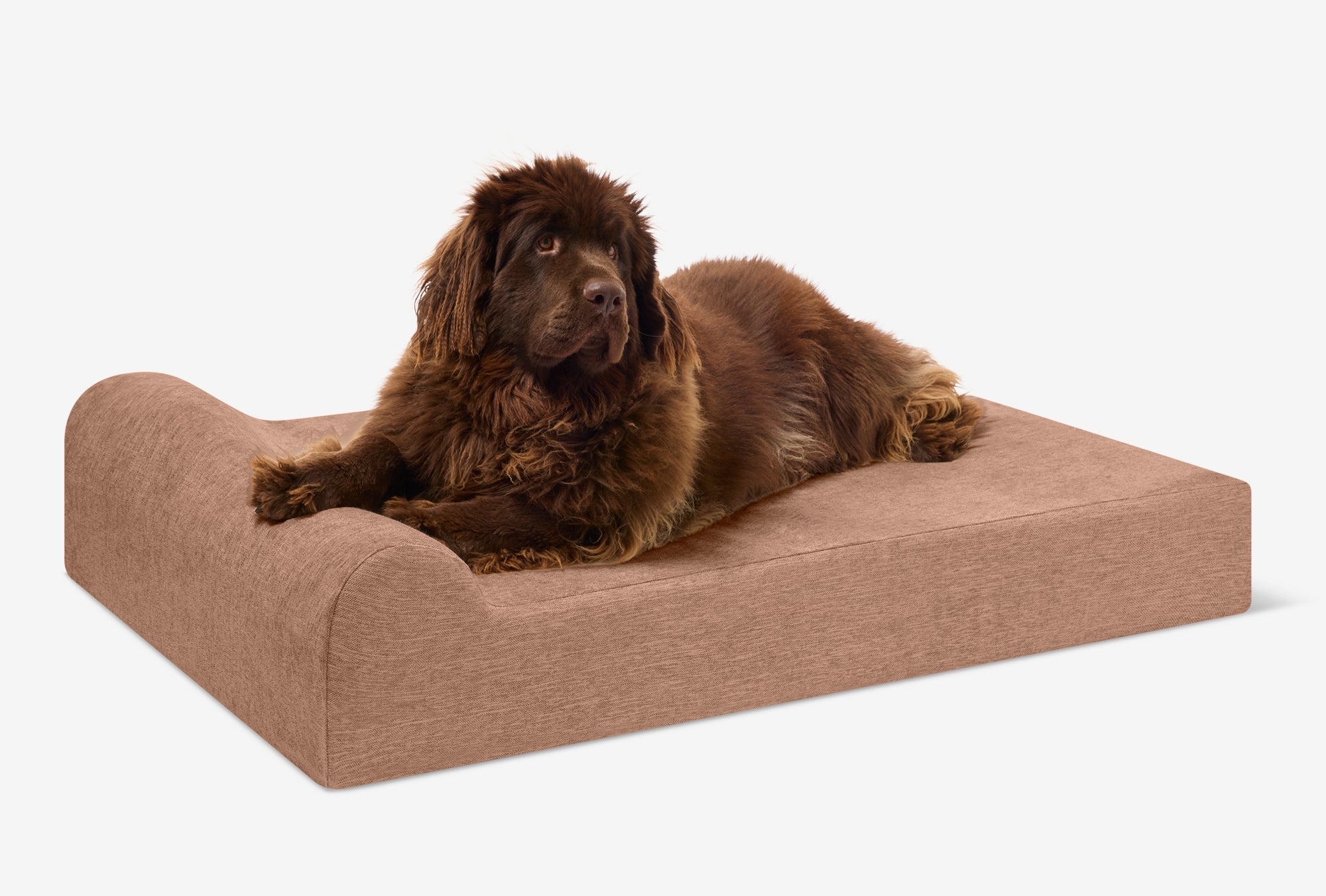 Seven-Inch Orthopedic Dog Bed product image 139