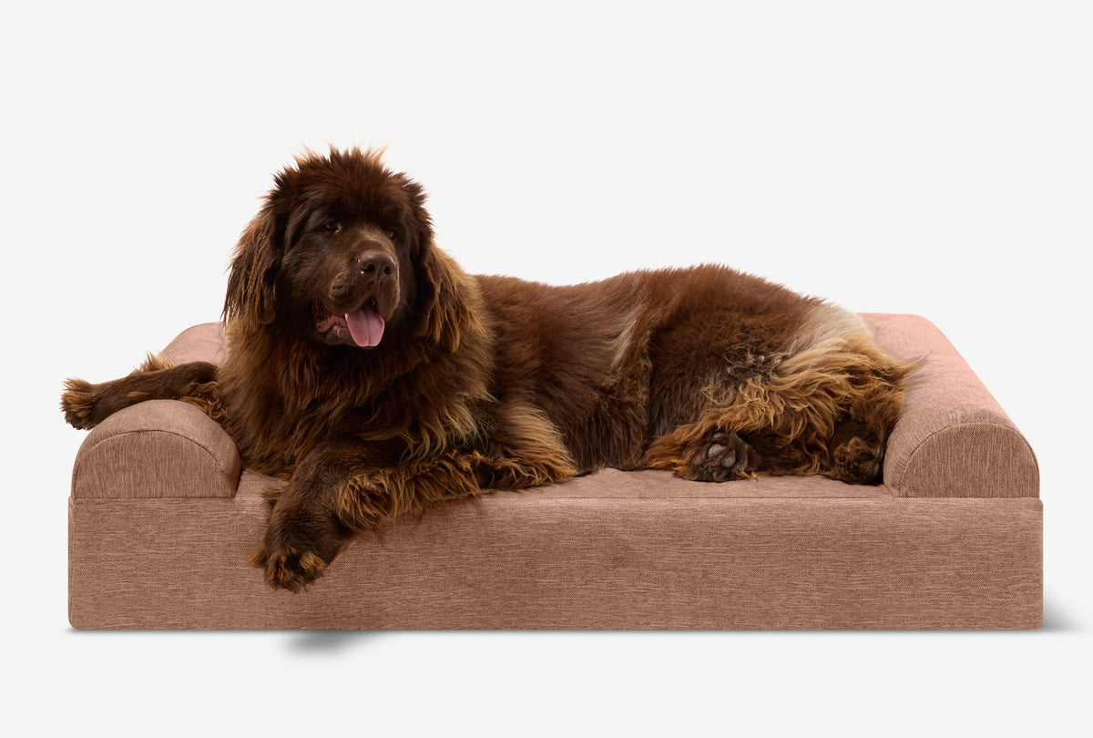Seven-Inch Orthopedic Dog Bed product image 142