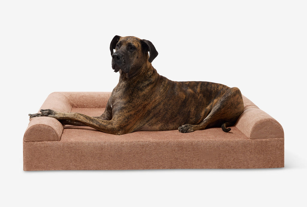 Seven-Inch Orthopedic Dog Bed product image 143