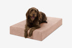 Seven-Inch Orthopedic Dog Bed product image 144