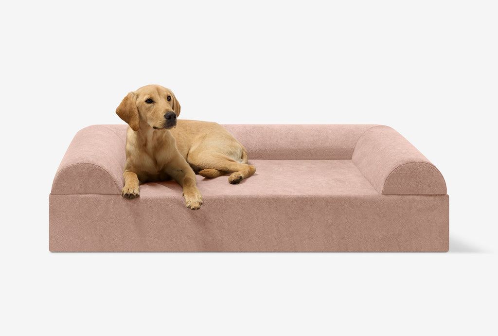 Seven-Inch Orthopedic Dog Bed product image 146