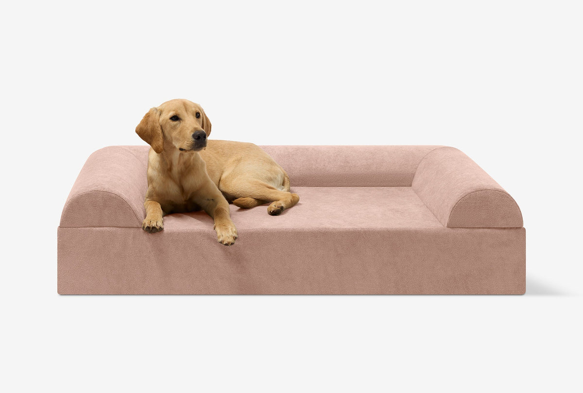 Seven-Inch Orthopedic Dog Bed product image 146