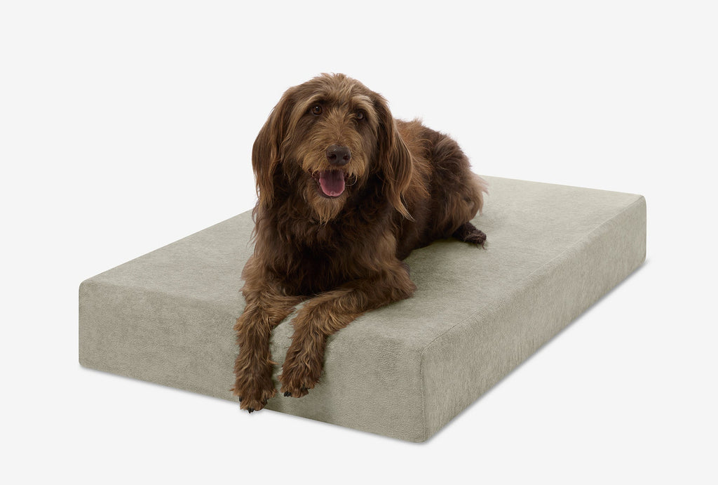 Seven-Inch Orthopedic Dog Bed product image 149