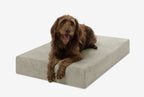 Seven-Inch Orthopedic Dog Bed product image 149