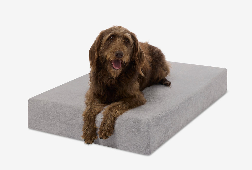 Seven-Inch Orthopedic Dog Bed product image 150