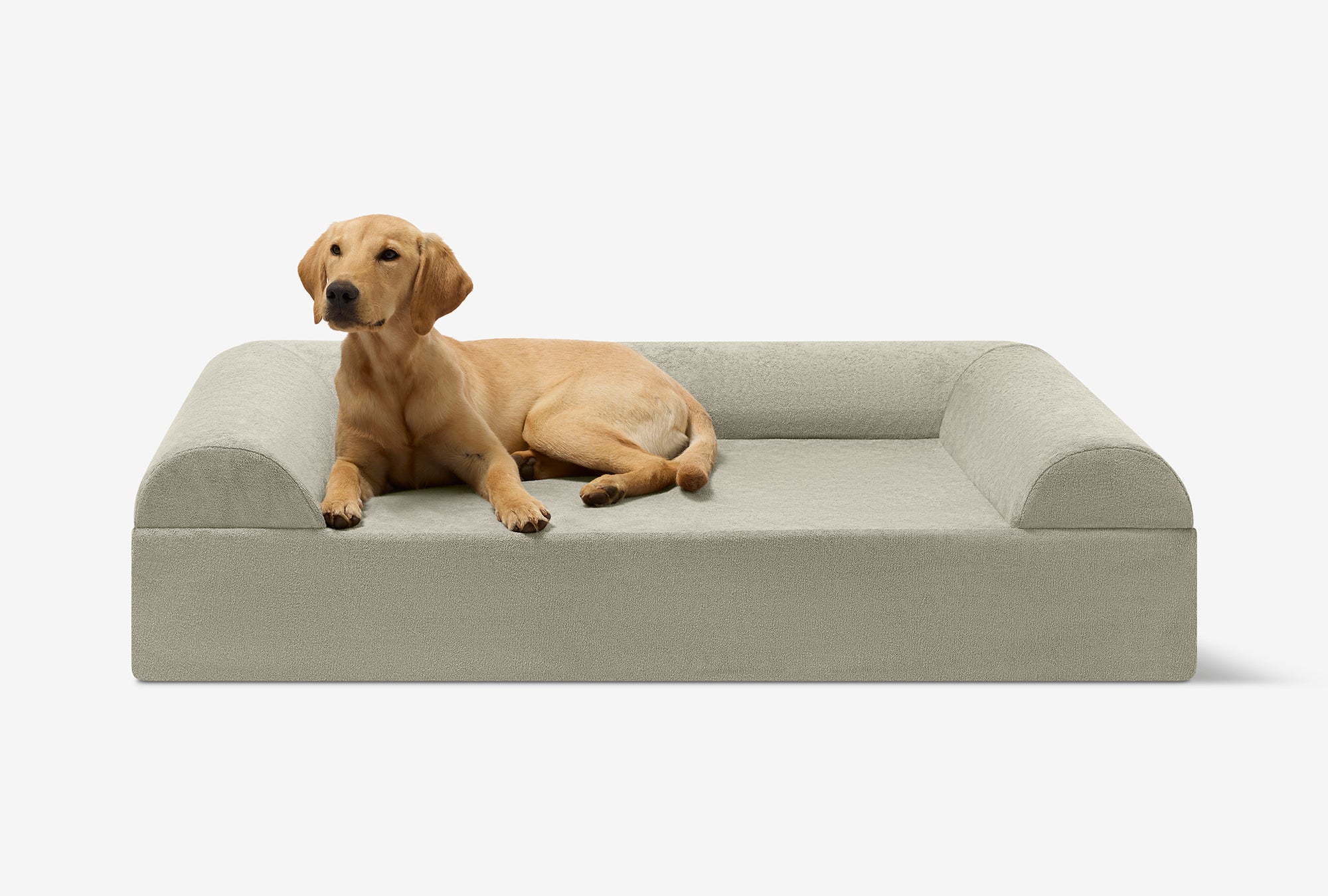 Seven-Inch Orthopedic Dog Bed product image 151