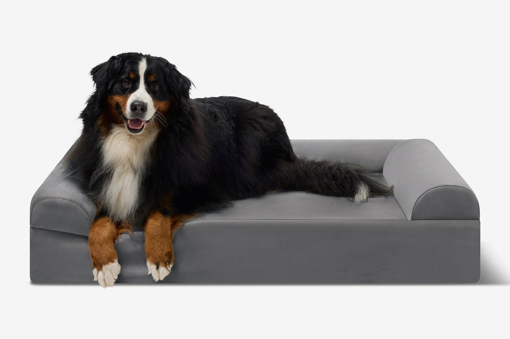 Seven-Inch Orthopedic Dog Bed product image 153