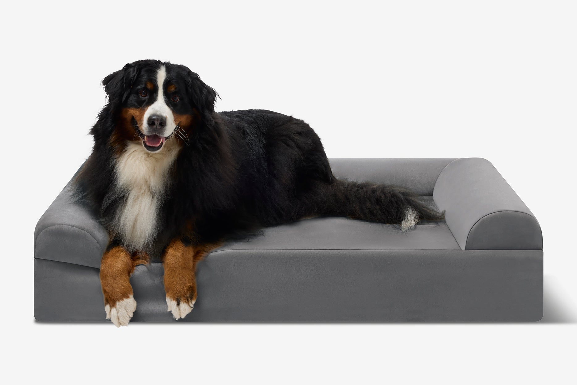 Seven-Inch Orthopedic Dog Bed product image 153