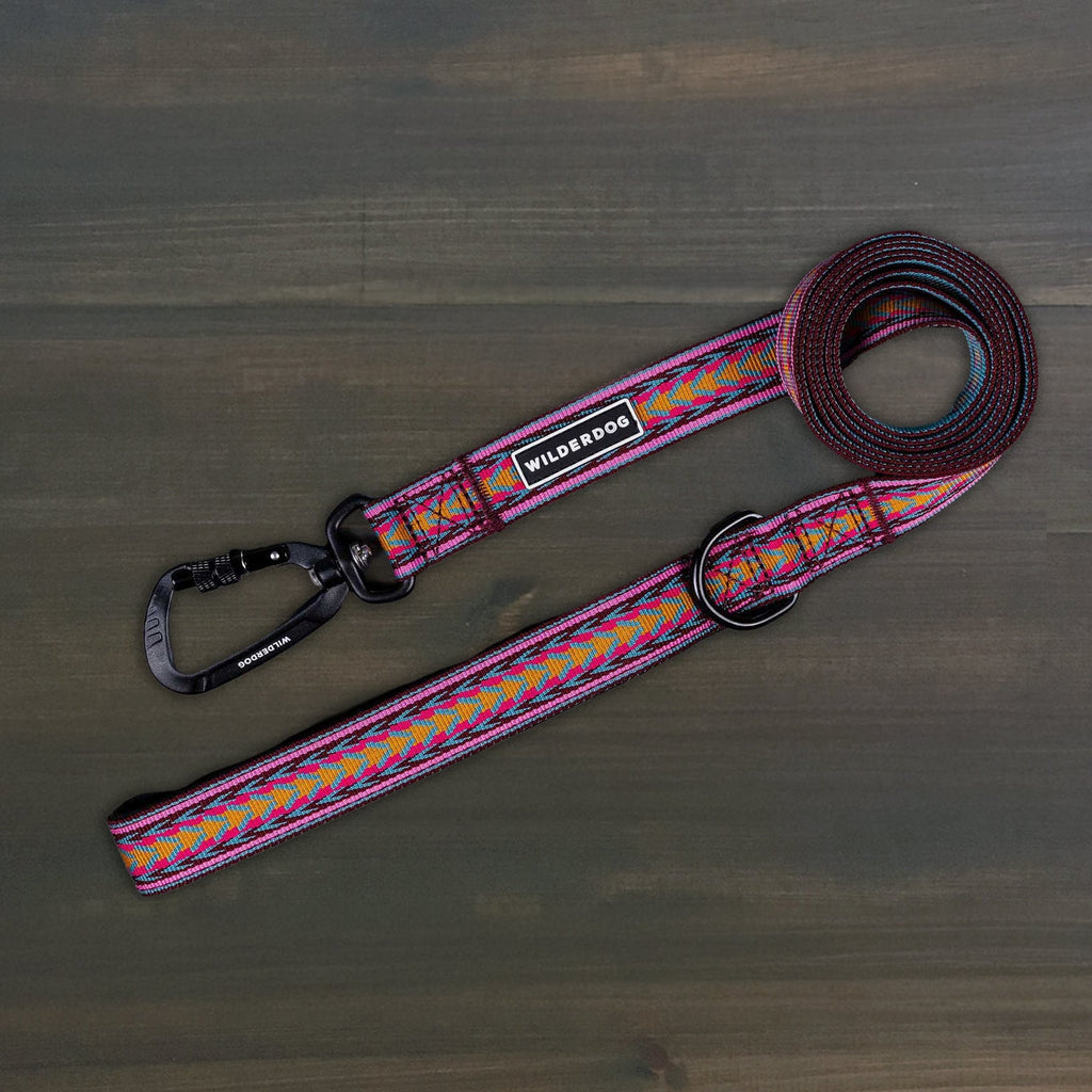 Dog Leash product image 1