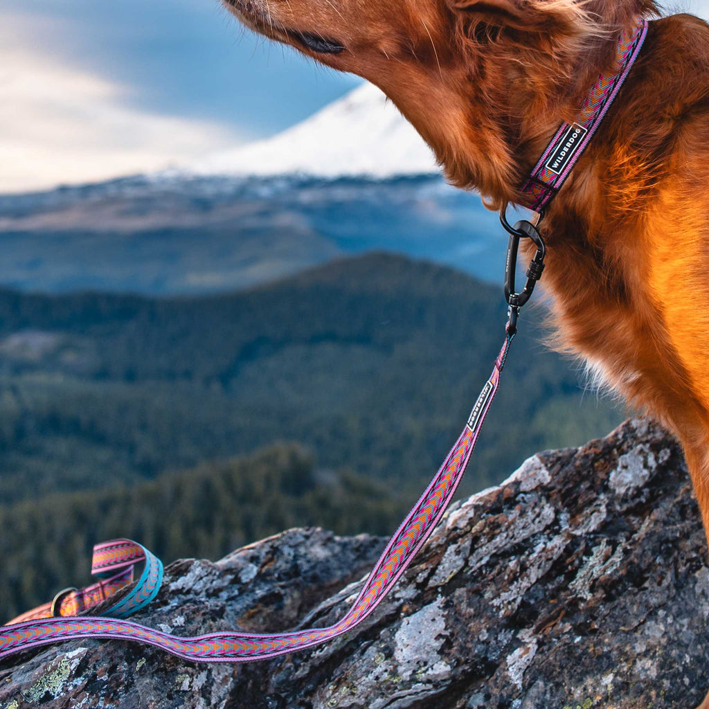 Dog Leash product image 2