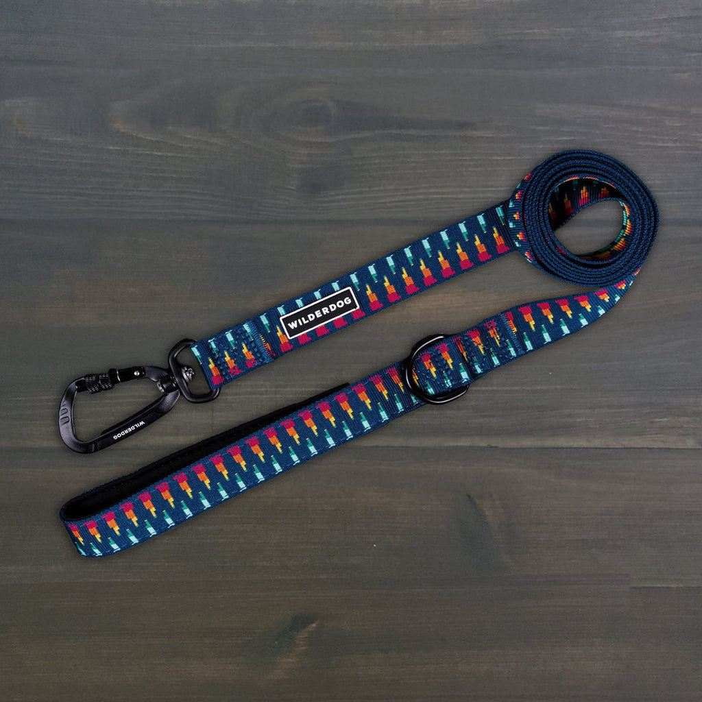 Dog Leash product image 1