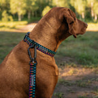 Dog Leash product image 3