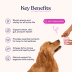 Dog Multivitamin Soft Chews product image 4