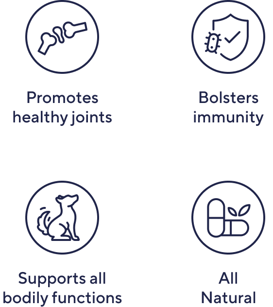 Pet Multivitamin Chews product image 3