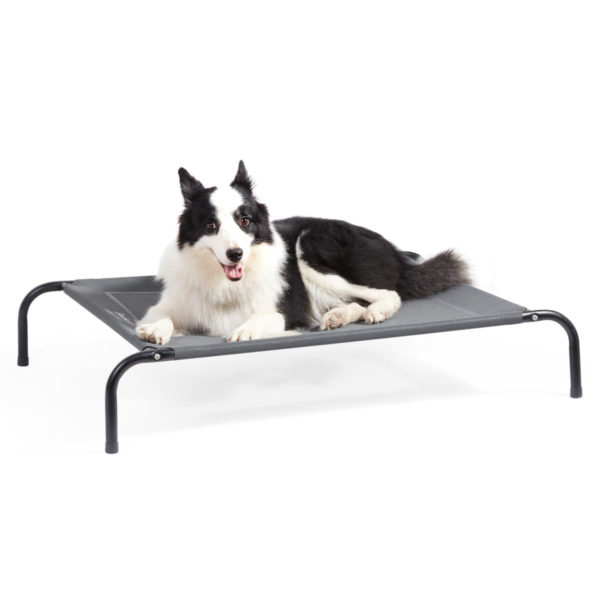 Elevated Dog Bed product image 2