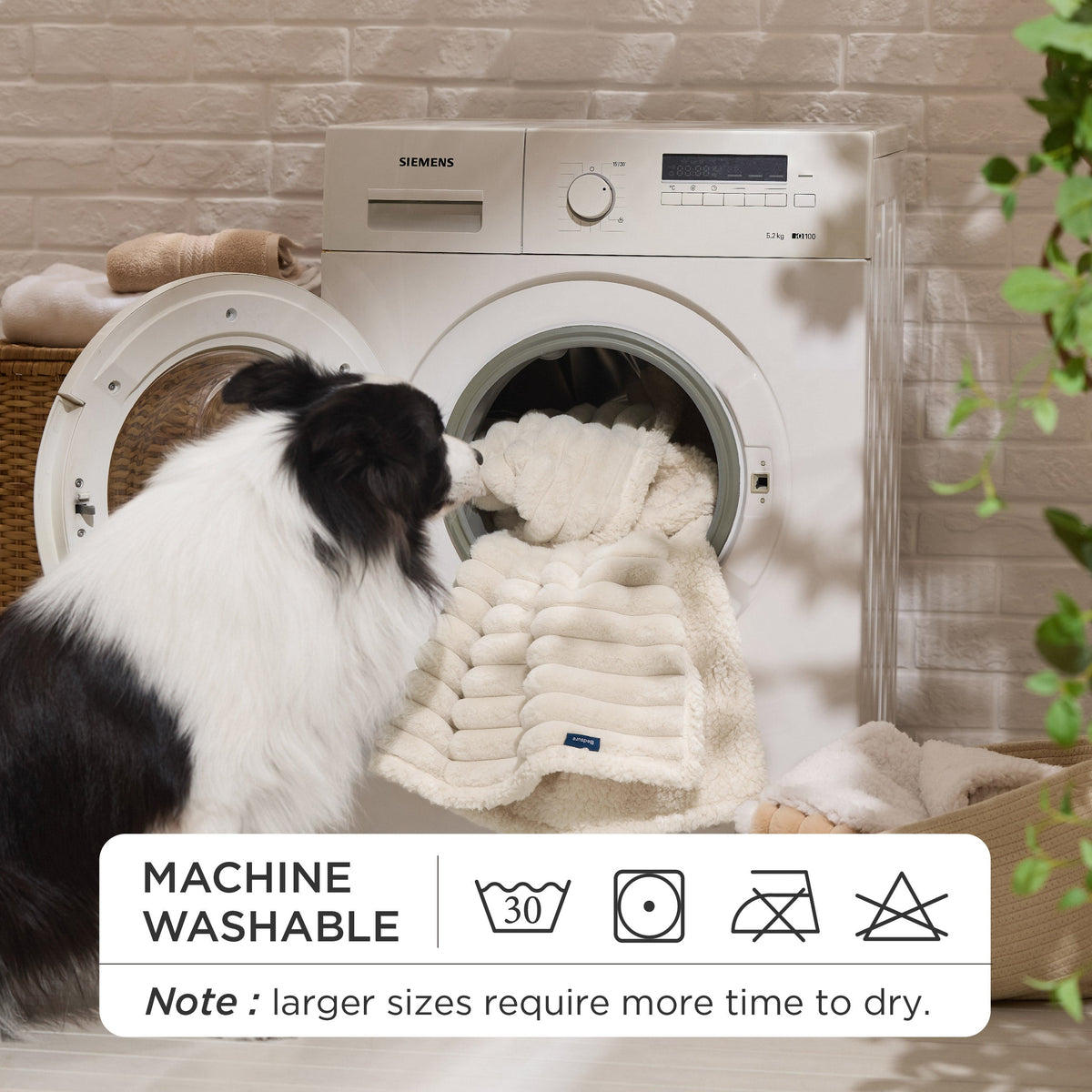 Pet Blanket product image 3
