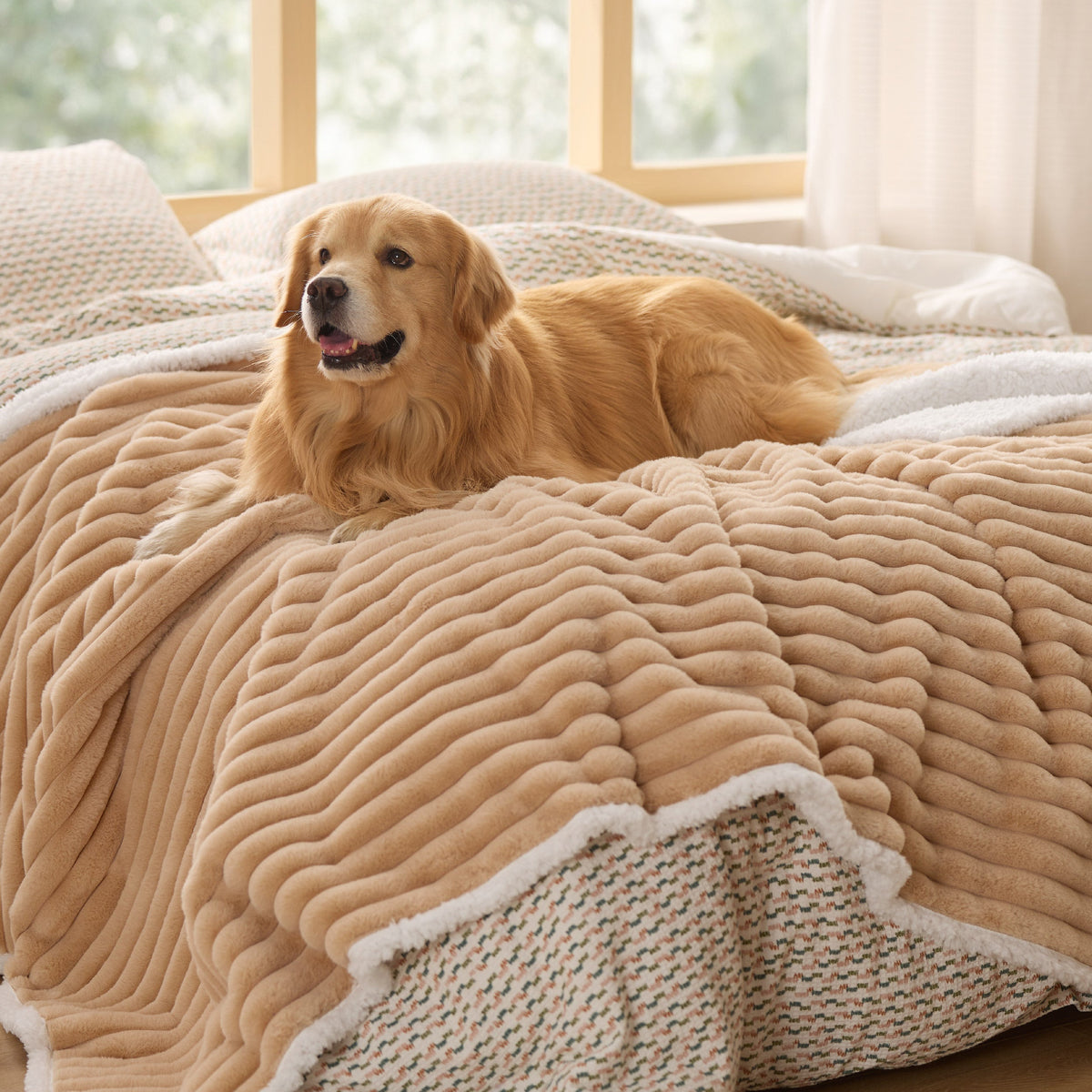 Pet Blanket product image 10