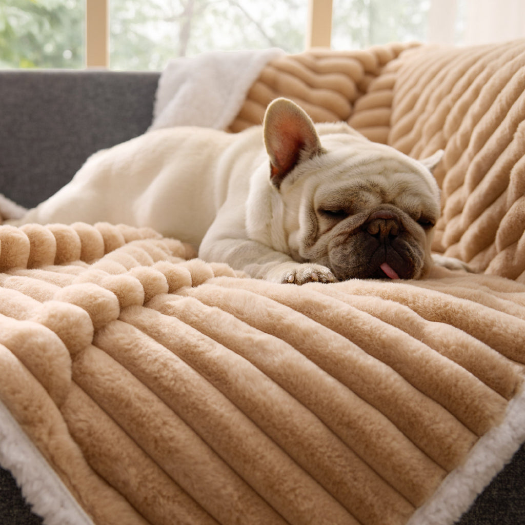 Pet Blanket product image 11