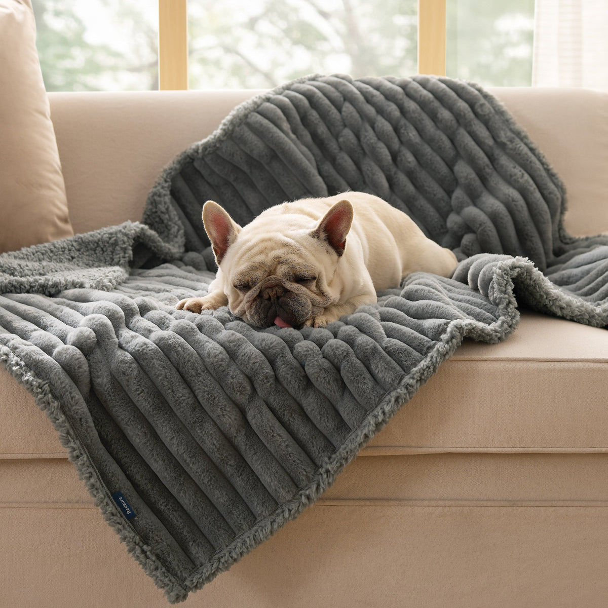Pet Blanket product image 14